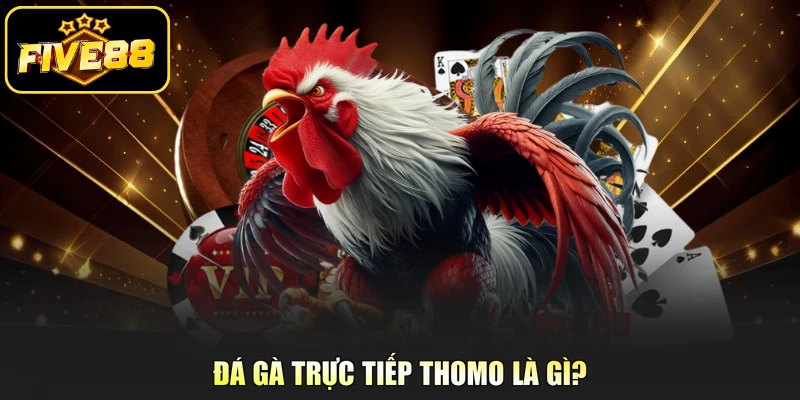 Đá gà trực tiếp Thomo là gì?